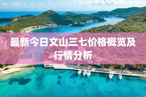 最新今日文山三七價格概覽及行情分析