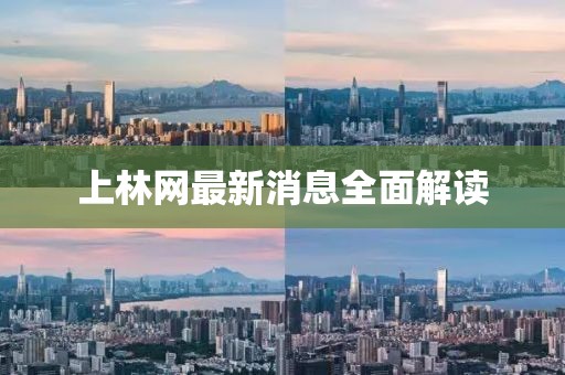 上林網(wǎng)最新消息全面解讀