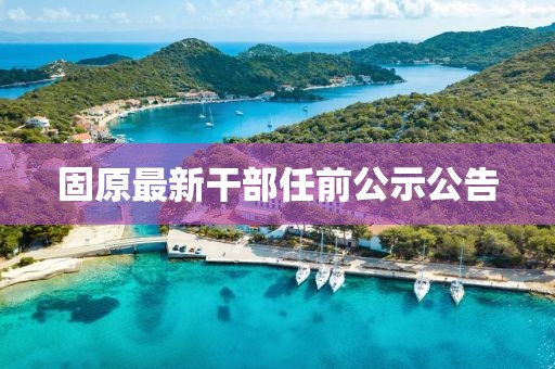 固原最新干部任前公示公告