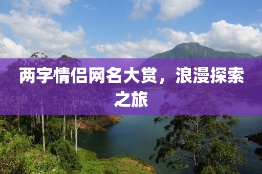 兩字情侶網(wǎng)名大賞，浪漫探索之旅