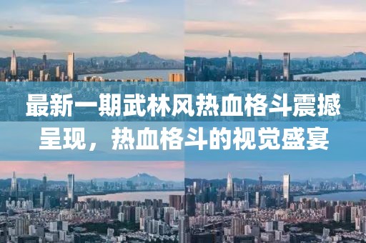 最新一期武林風(fēng)熱血格斗震撼呈現(xiàn)，熱血格斗的視覺盛宴