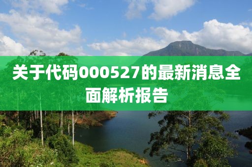 關(guān)于代碼000527的最新消息全面解析報告