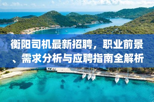 衡陽司機最新招聘，職業(yè)前景、需求分析與應聘指南全解析