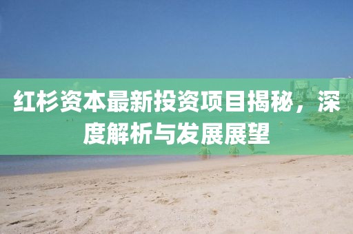 紅杉資本最新投資項目揭秘，深度解析與發(fā)展展望