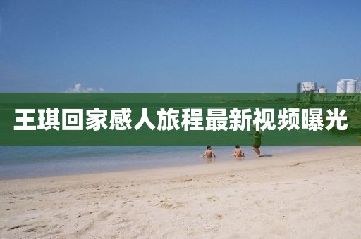 王琪回家感人旅程最新視頻曝光