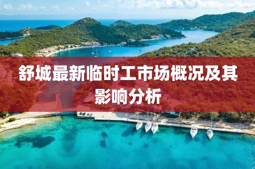 舒城最新臨時工市場概況及其影響分析