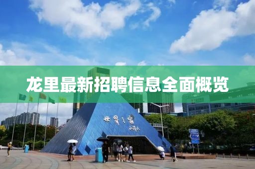 龍里最新招聘信息全面概覽