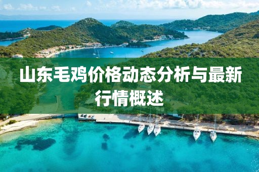 山東毛雞價格動態(tài)分析與最新行情概述