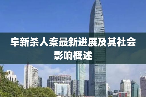 阜新殺人案最新進展及其社會影響概述