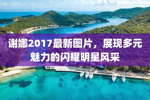 謝娜2017最新圖片，展現(xiàn)多元魅力的閃耀明星風采