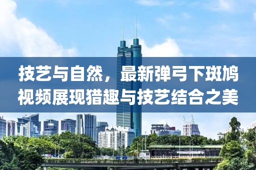 技藝與自然，最新彈弓下斑鳩視頻展現(xiàn)獵趣與技藝結(jié)合之美
