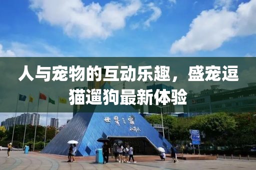 人與寵物的互動樂趣，盛寵逗貓遛狗最新體驗