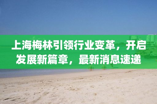上海梅林引領(lǐng)行業(yè)變革，開啟發(fā)展新篇章，最新消息速遞