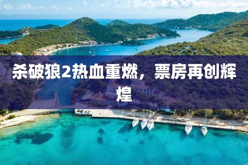 殺破狼2熱血重燃，票房再創(chuàng)輝煌