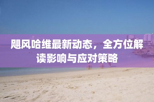 颶風(fēng)哈維最新動(dòng)態(tài)，全方位解讀影響與應(yīng)對(duì)策略