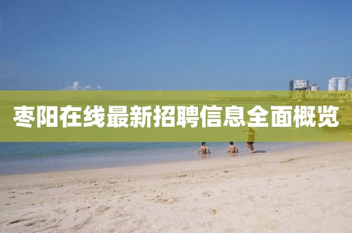 棗陽在線最新招聘信息全面概覽