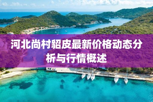 河北尚村貂皮最新價格動態(tài)分析與行情概述