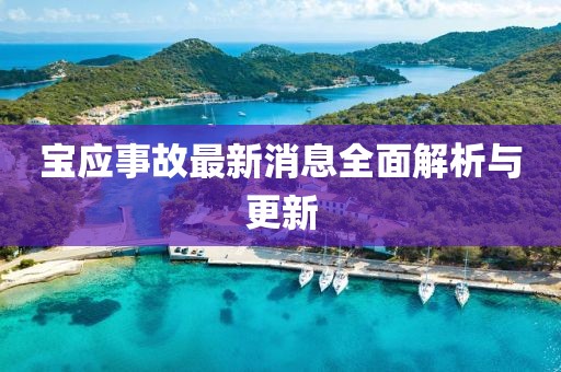 寶應(yīng)事故最新消息全面解析與更新
