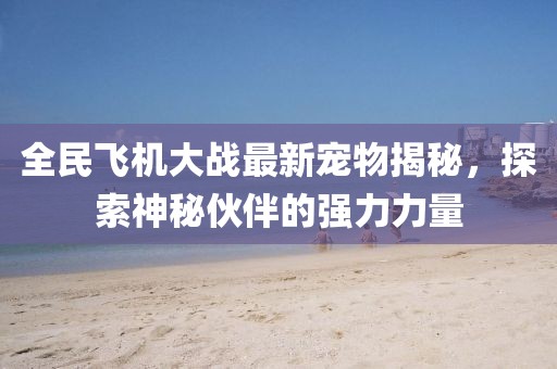 全民飛機大戰(zhàn)最新寵物揭秘，探索神秘伙伴的強力力量