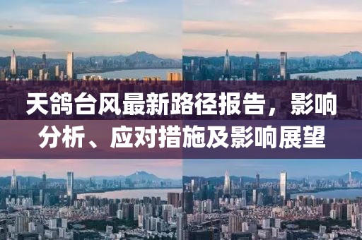 天鴿臺風最新路徑報告，影響分析、應(yīng)對措施及影響展望