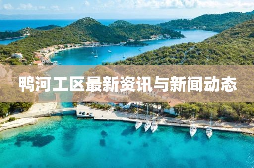 鴨河工區(qū)最新資訊與新聞動(dòng)態(tài)
