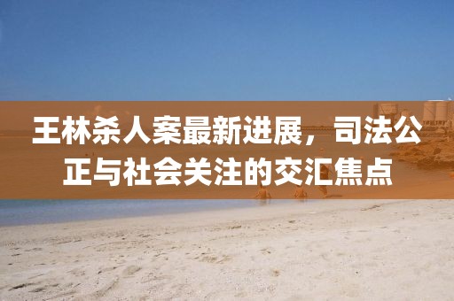 王林殺人案最新進(jìn)展，司法公正與社會(huì)關(guān)注的交匯焦點(diǎn)