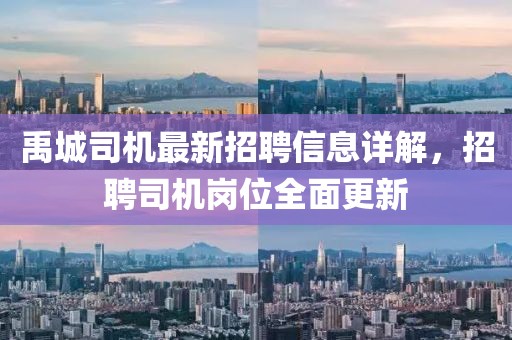 禹城司機最新招聘信息詳解，招聘司機崗位全面更新