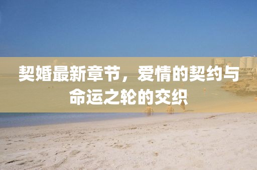 契婚最新章節(jié)，愛情的契約與命運(yùn)之輪的交織