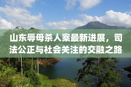 山東辱母殺人案最新進展，司法公正與社會關(guān)注的交融之路