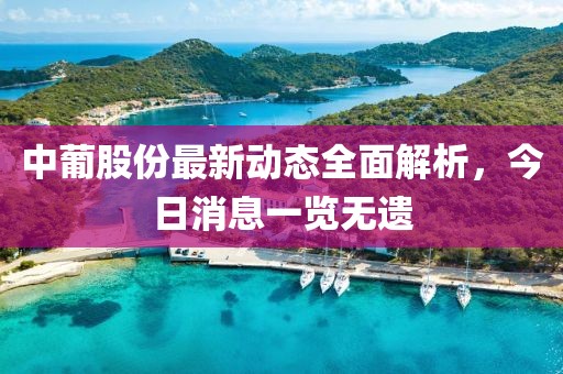 中葡股份最新動態(tài)全面解析，今日消息一覽無遺