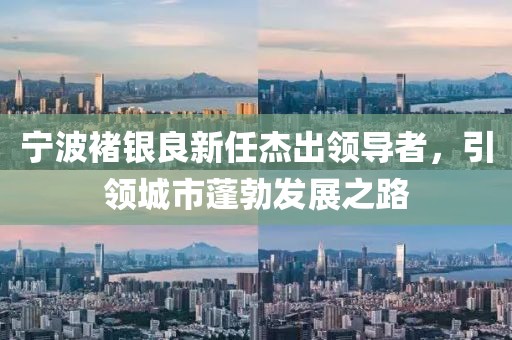 寧波褚銀良新任杰出領導者，引領城市蓬勃發(fā)展之路