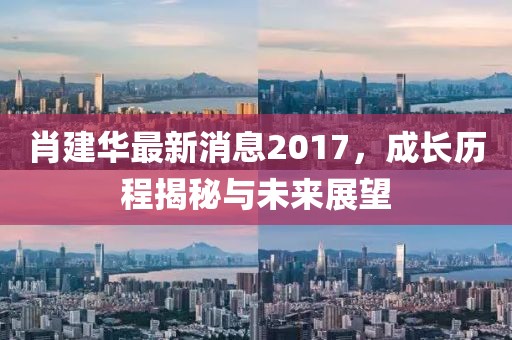 肖建華最新消息2017，成長歷程揭秘與未來展望