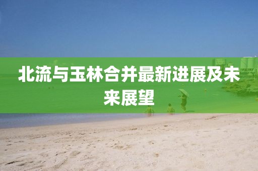 北流與玉林合并最新進展及未來展望