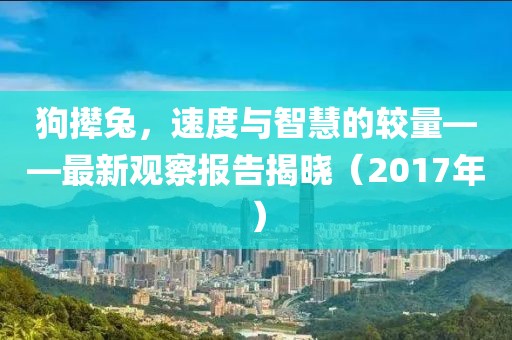 狗攆兔，速度與智慧的較量——最新觀察報(bào)告揭曉（2017年）
