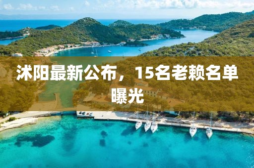 沭陽最新公布，15名老賴名單曝光
