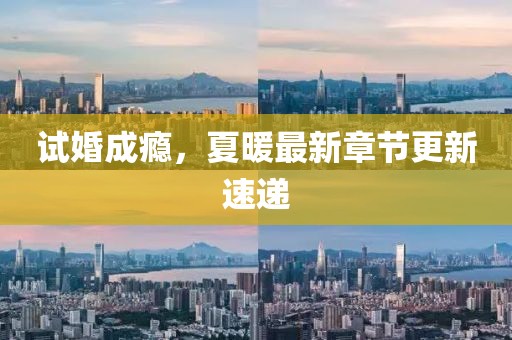 試婚成癮，夏暖最新章節(jié)更新速遞