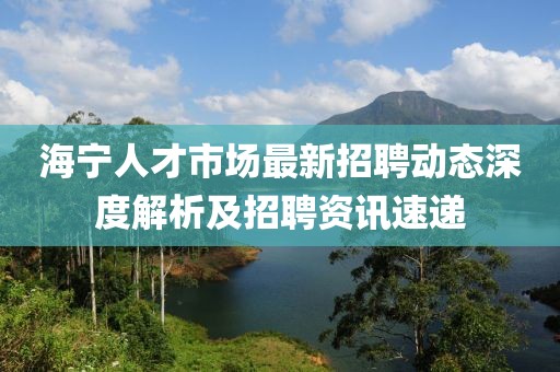 海寧人才市場最新招聘動態(tài)深度解析及招聘資訊速遞