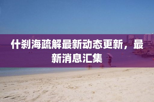 什剎海疏解最新動(dòng)態(tài)更新，最新消息匯集