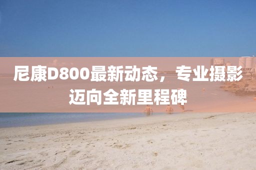尼康D800最新動(dòng)態(tài)，專業(yè)攝影邁向全新里程碑