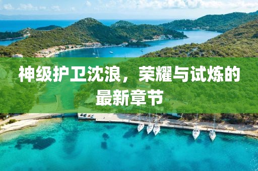 神級護衛(wèi)沈浪，榮耀與試煉的最新章節(jié)