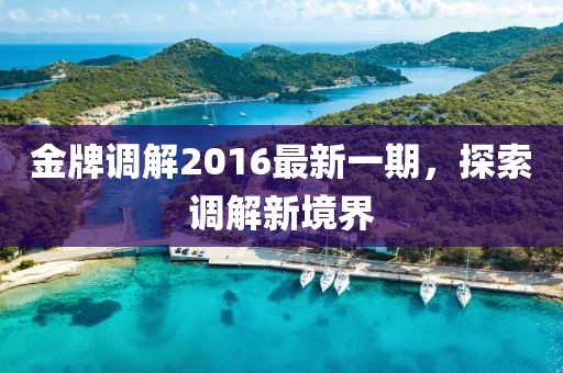 金牌調(diào)解2016最新一期，探索調(diào)解新境界