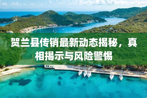 賀蘭縣傳銷最新動態(tài)揭秘，真相揭示與風(fēng)險警惕