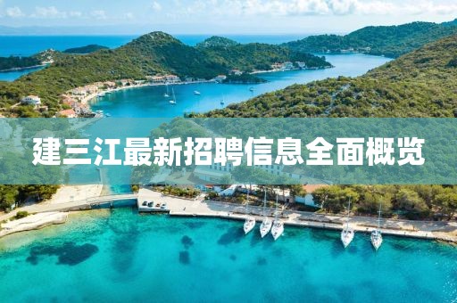 建三江最新招聘信息全面概覽