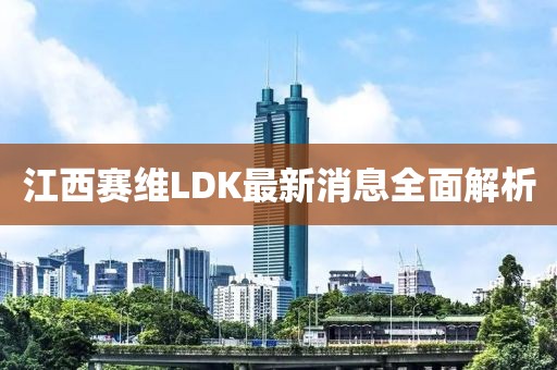 江西賽維LDK最新消息全面解析