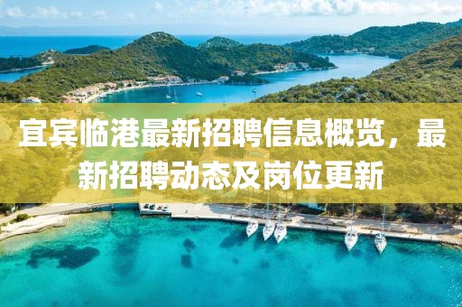 宜賓臨港最新招聘信息概覽，最新招聘動態(tài)及崗位更新