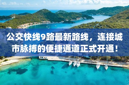 公交快線9路最新路線，連接城市脈搏的便捷通道正式開通！