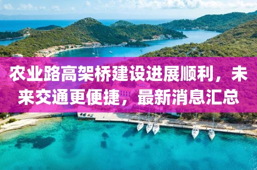 農(nóng)業(yè)路高架橋建設進展順利，未來交通更便捷，最新消息匯總
