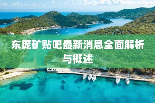 東龐礦貼吧最新消息全面解析與概述