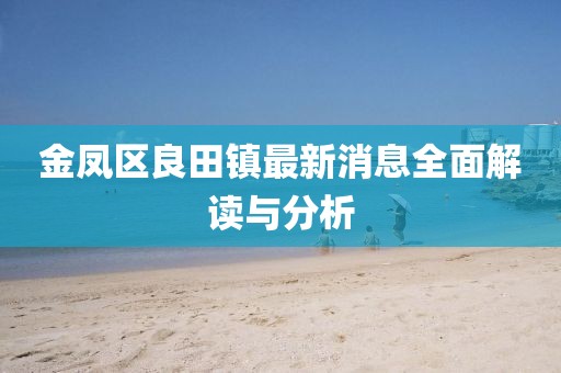 金鳳區(qū)良田鎮(zhèn)最新消息全面解讀與分析