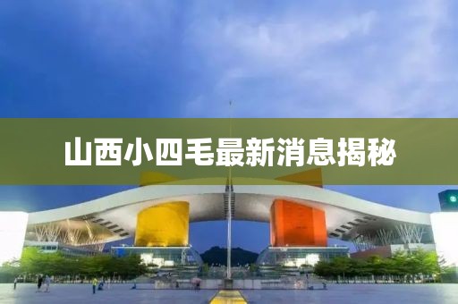 山西小四毛最新消息揭秘